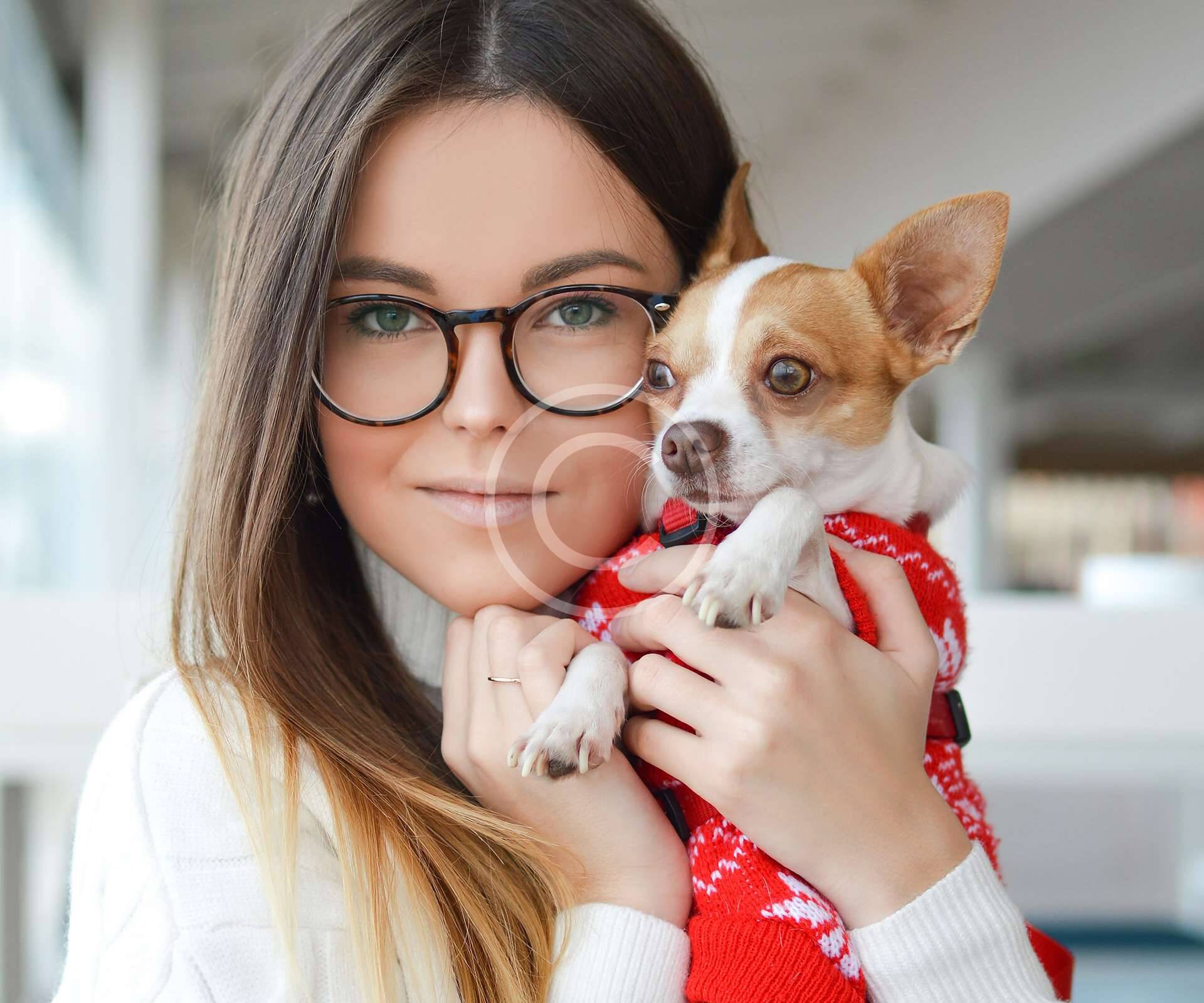 About Us Hammer Lane Vet